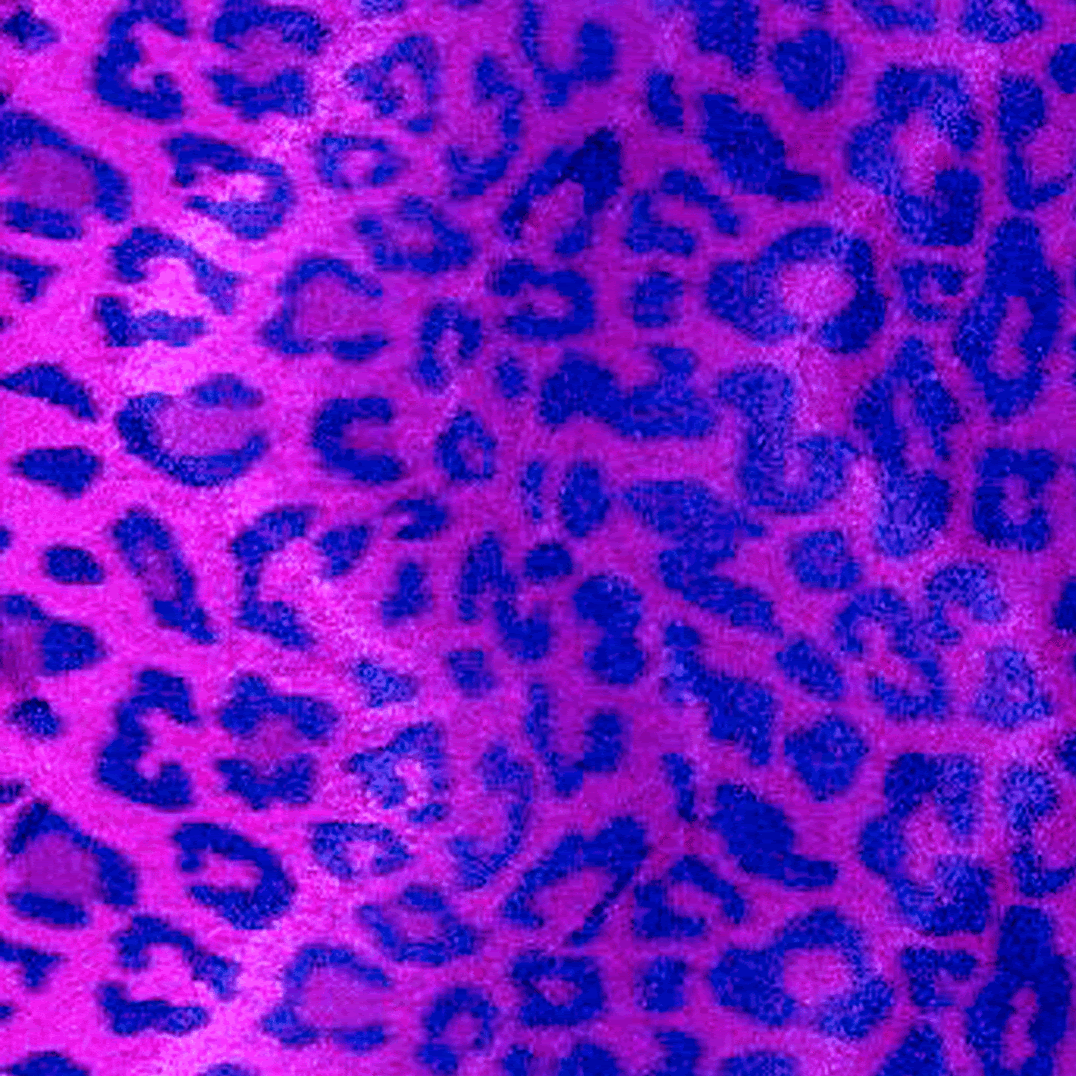 LEOPARDO2.gif image by loitaunderground