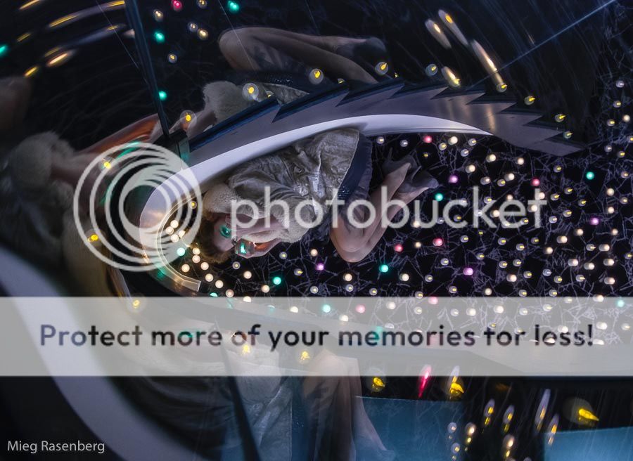 Fotografie