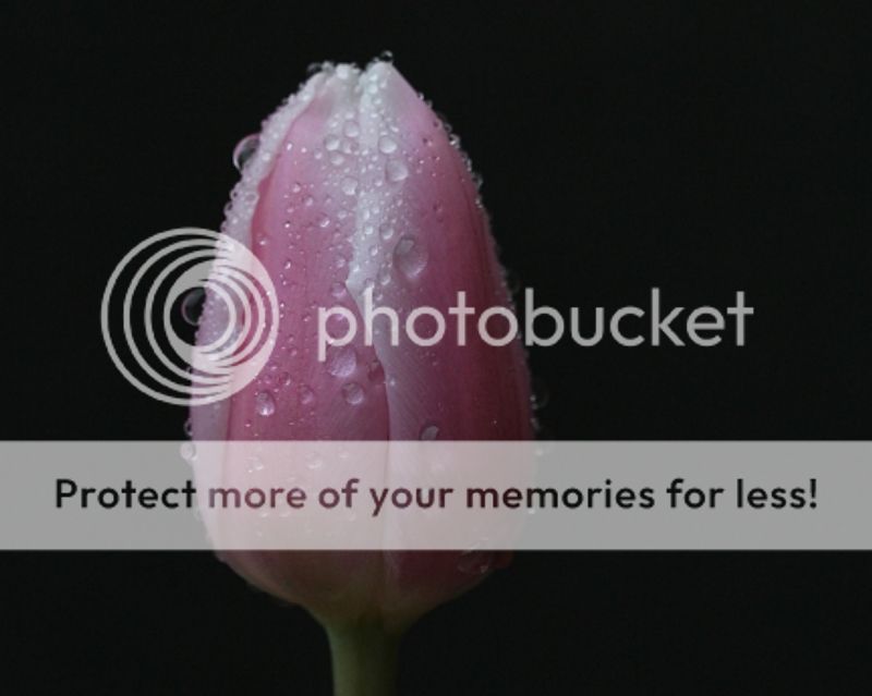 Fotografie