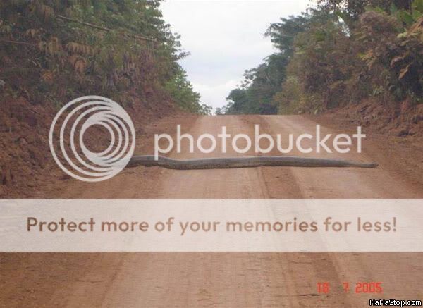 Photobucket - Video and Image Hosting