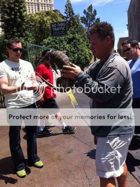 один день в Лас-Вегасе Uploaded from the Photobucket iPhone App