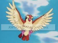 http://i320.photobucket.com/albums/nn347/MrLaFritz/pidgey.jpg